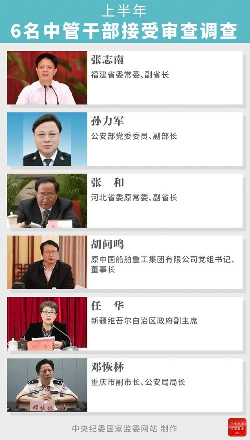 第五纪检监察是干什么的？探究其职责和功能以及在中国反腐败工作中的重要性