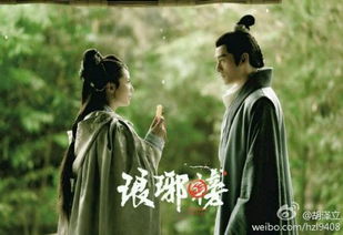 (顾衣非战九枭什么小说)顾非衣战九枭小说免费阅读，虐心情节震撼人心