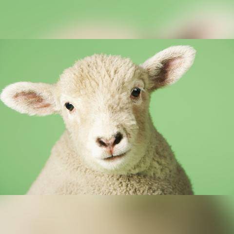 (怎么彻底删除电脑监控录像)如何彻底卸载电脑监控软件？电脑监控专家分享卸载方法