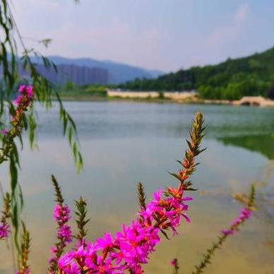 (快乐的一天海边游玩)三年级作文:我快乐的一天——去海边玩的经历描述 (快乐的一天海边游玩)三年级作文:我快乐的一天——去海边玩的经历描述