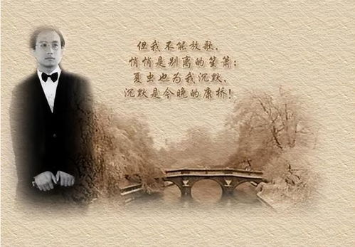 (无寂寥是什么意思)深入探讨‘无寂’一词的含义及其在现代生活中的启示与应用 (无寂寥是什么意思)深入探讨‘无寂’一词的含义及其在现代生活中的启示与应用