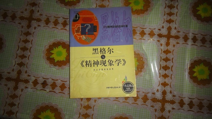 (黑格尔 书籍)解读《黑书》中荣格哲学:探究个体与集体的心理现象与冲突 (黑格尔 书籍)解读《黑书》中荣格哲学:探究个体与集体的心理现象与冲突