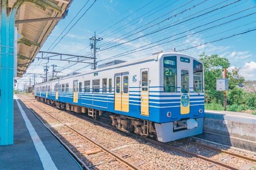 (赛博行者)探索赛博西行职业：从虚拟世界到现实生活的职业发展路径