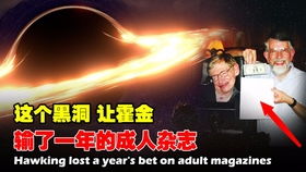 探索星晓福莉特：揭开这一神秘品牌背后的故事与产品魅力