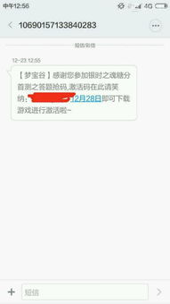 首次公开！代号胡闹水手激活码分享：如何获取并妥善使用，更多精彩等你来挖掘