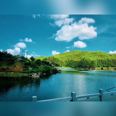 详尽无遗！全方位揭秘芒果小镇手游攻略，教你如何快速升级与赚取金币的秘密