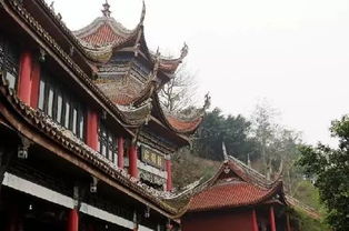 (在城市的喧嚣中拾取一份心灵的宁静)在城市喧嚣中寻找心灵的栖息地——家园何处是我们的归宿 (在城市的喧嚣中拾取一份心灵的宁静)在城市喧嚣中寻找心灵的栖息地——家园何处是我们的归宿