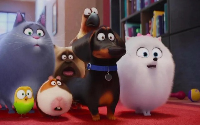 (爱宠大机密里面的宠物)揭秘爱宠大机密：角色介绍，探寻每个角色背后的故事和秘密