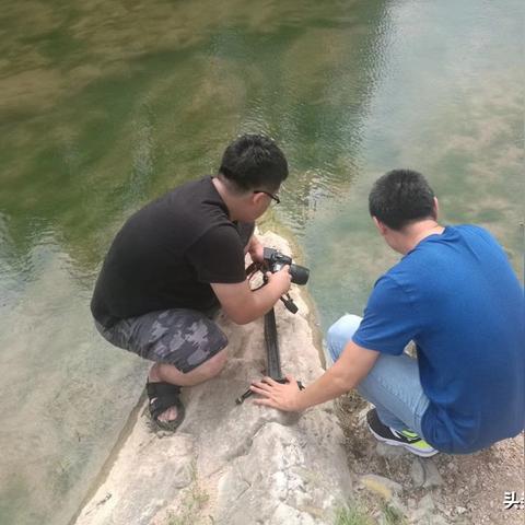 (类似桃源记的单机游戏)探寻诗意之地:一款类似桃源记的生存游戏 (类似桃源记的单机游戏)探寻诗意之地:一款类似桃源记的生存游戏