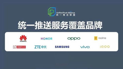 (软件绿色联盟是什么意思)探讨绿色软件联盟的可靠性及其在信息安全领域的作用